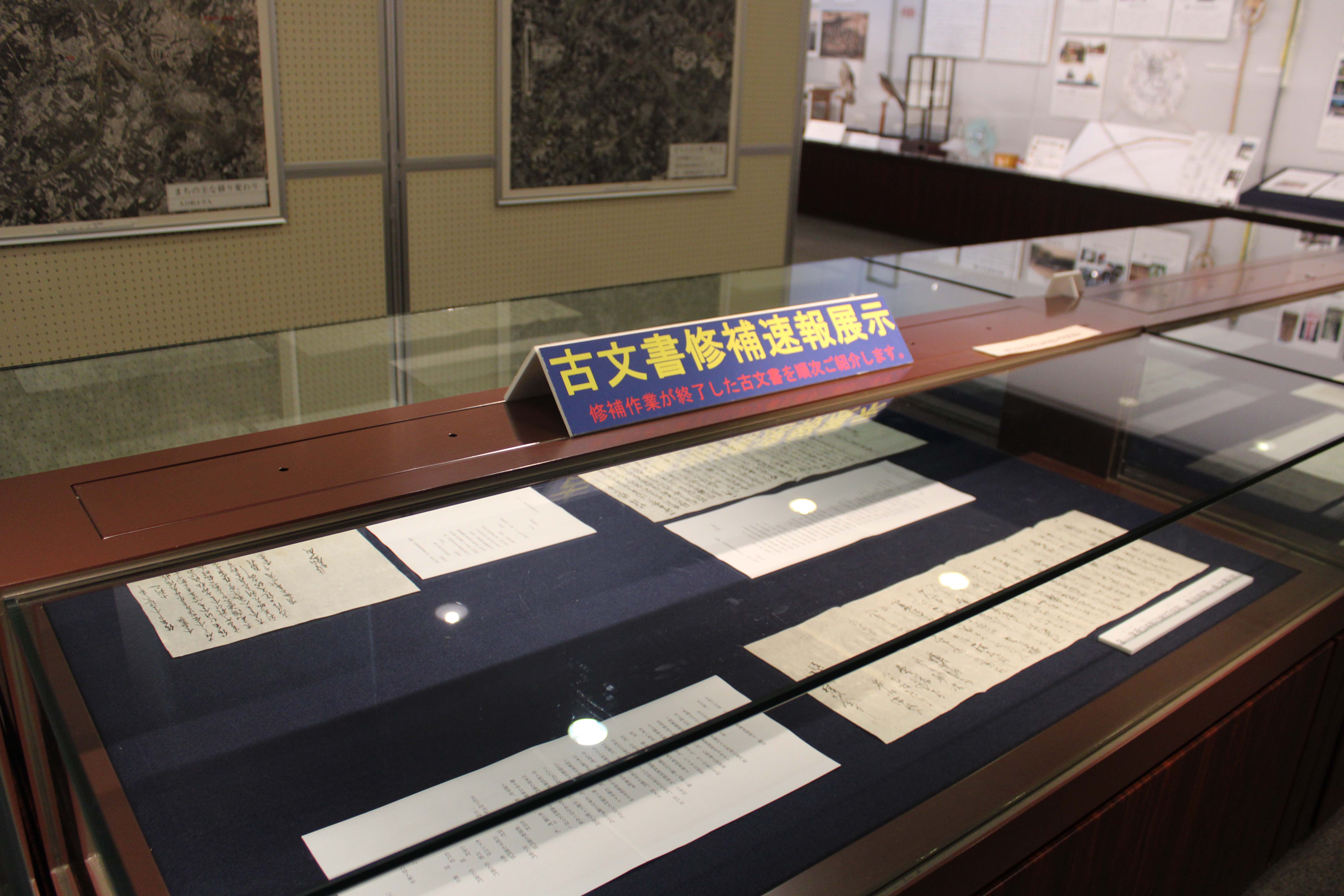 展示の様子